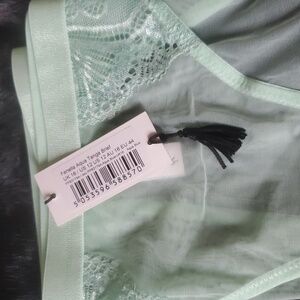 NWT PLAYFUL PROMISES FENELLA AQUA TANGA BRIEF , SZ: 12
